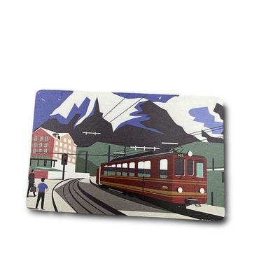 Stampa a colori a taglia standard con scheda in legno RFID con incisione
